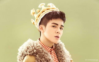 曾舜晞有女朋友了吗(曾舜晞谈几个女朋友)