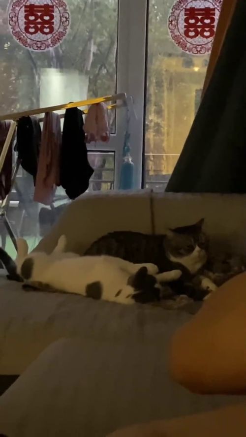 打游戏惹男朋友生气了怎么哄(打游戏惹男朋友生气,怎么哄)