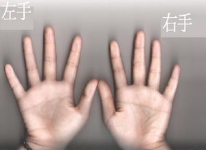 断掌的女人真的命苦吗(断掌的女人命真的很苦吗以后真的很坎坷吗)