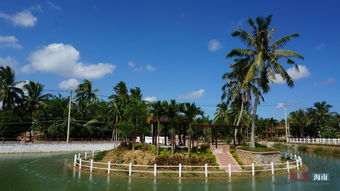 爱情岛第一第二第三路线怎么走的(爱情岛第一第二第三路线怎么玩)