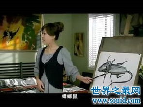 爱情公寓蟑螂鼠到底是什么(爱情公寓的蟑螂鼠到底是什么呀)