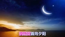 爱情就像流星的歌词是什么歌(“爱情就像流星” 是那首歌里面的歌词)