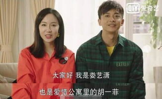 爱情公寓哪一年开始播的(爱情公寓1在几几年播出的)