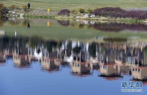爱情小镇旅游景点在哪(曲靖有哪些好玩的旅游景点)