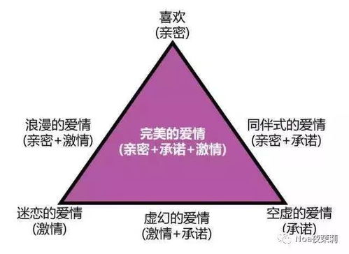爱情三大要素是什么(爱情的三要素是什么)