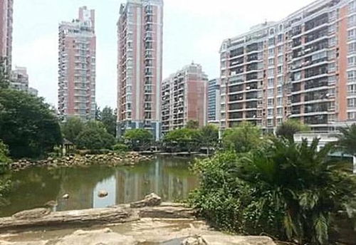爱情公寓在哪个小区拍的(《爱情公寓》拍摄地点是哪个小区)