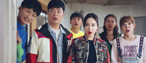 爱情公寓5装修完成是哪一集(《爱情公寓5》赵海棠装修胡一菲房子是哪一集)