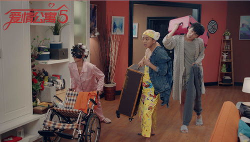 爱情公寓3张伟为什么不在(爱情公寓3怎么没有张伟了)