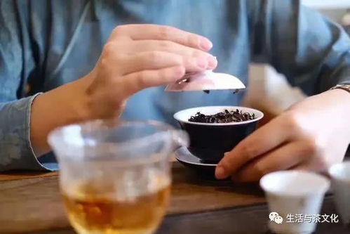 爱喝茶的女人是什么类型(爱喝茶的女生给人什么印象)