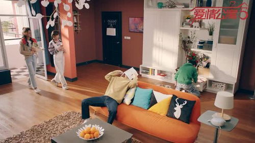 爱情公寓5奇葩装修是哪一集(《爱情公寓5》赵海棠装修胡一菲房子是哪一集)