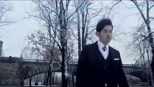 爱情废柴是什么意思(周杰伦爱情废柴表达的是什么意思)