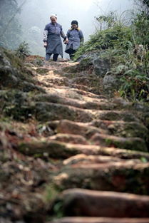 爱情天梯在重庆哪里(重庆爱情天梯在哪里)