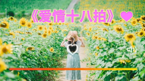 爱情十八拍表达了什么心情(爱情十八拍指哪十八拍)