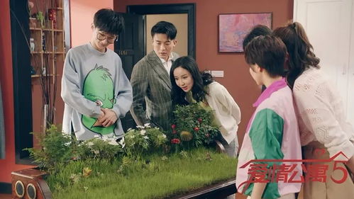 爱情公寓5互动剧是哪一集(爱情公寓弹幕是哪一集)