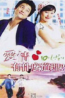 爱情能有什么道理po(爱情有什么道理)