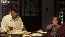 父母爱情江团长回乡生活了吗(《父母爱情》中江团长为什么离婚)