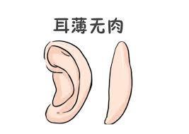 狡猾的女人有哪些表现(狡猾的女人有什么特点)