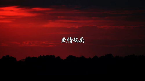 爱情码头文案怎么写(很甜很撩的情话古风简短文案)