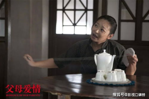 父母爱情是哪个年代的(《父母爱情》是哪个年代的)