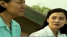 父母爱情穷亲戚来是哪一集(父母爱情里德华和穷亲戚吵架是那集)