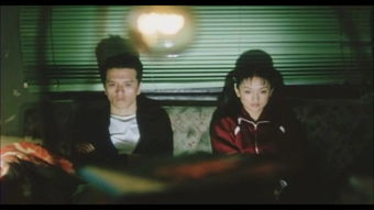 爱情最终的结果是什么样的(爱情最终的结果是什么)