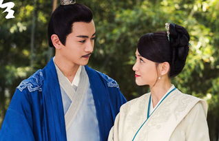 独孤伽罗为什么喜欢杨广(隋文帝杨坚为什么对独孤皇后独孤伽罗又爱又恨)