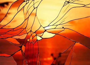 爱情的特性有无私性吗(爱情的特性有哪些呢)