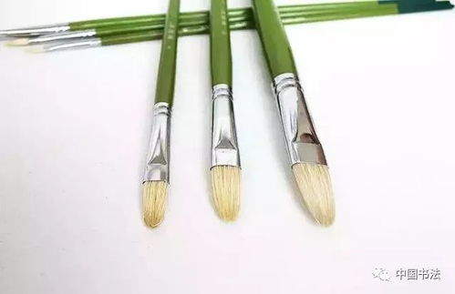 爱情里心定是什么意思(心定是什么意思)