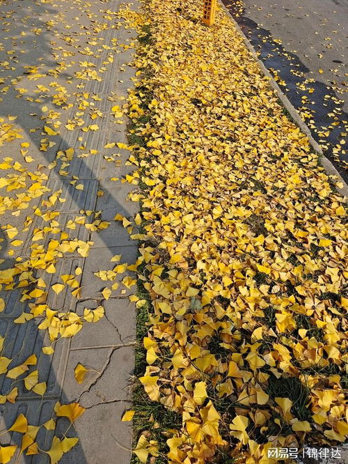 老公出轨后还能和好如初吗(老公出轨后,婚姻还能和好如初吗)