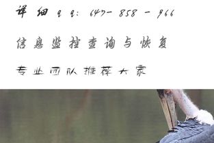 老公和异性聊暧昧怎么办(老公和别人暧昧聊天怎么办)