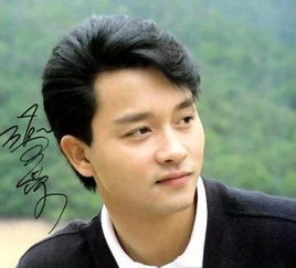 陈淑芬为什么那么喜欢张国荣(为什么说张国荣能红要感谢陈淑芬)