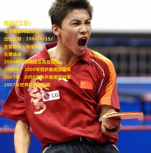 陈玘第二任妻子叫什么名字(陈玘现任老婆是哪里人)