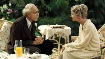 霍乱时期的爱情讲的是什么故事(霍乱时期的爱情讲的什么故事)