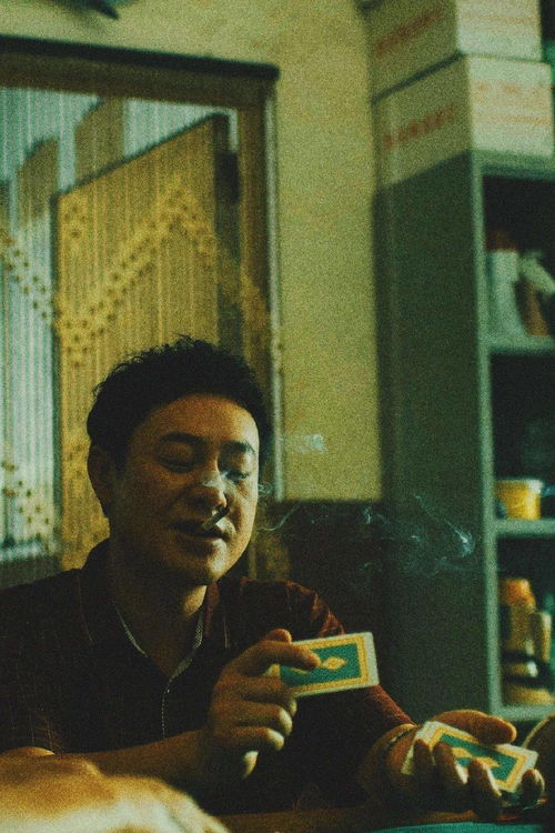 陈素珍是张颂文老婆吗(陈素珍与张颂文的关系)