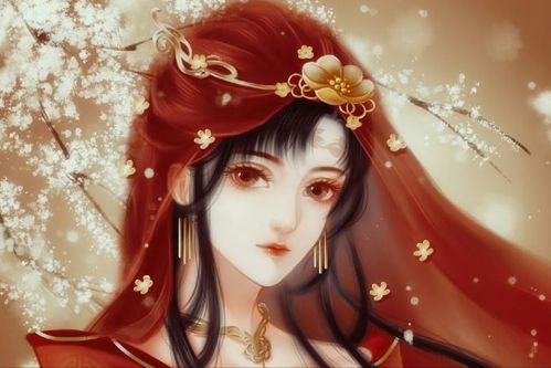 锦衣王侯主角多少女人(锦衣风流女主有几个)