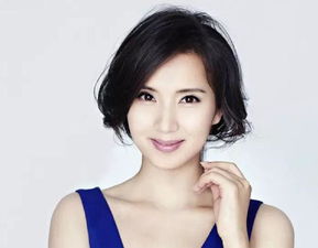 陈好老公身价多少(陈好老公刘海峰真的身价百亿美元么他是什么来历)