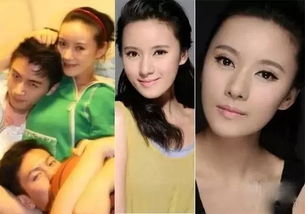 陈晓的前女友有哪些(陈晓前女友,陈晓四大绯闻前女友曝光赵丽颖秒杀陈妍希)