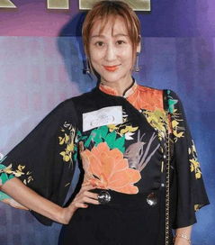 陈浩民的老婆真的剖了四次吗(情史混乱,婚内出轨,妻子5年剖4胎,陈浩民的下限究竟在哪里)