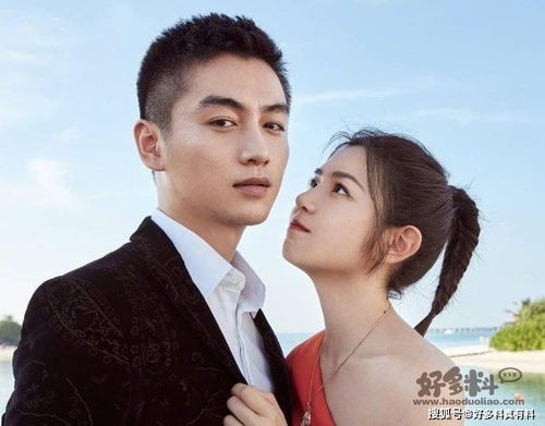 陈晓的老婆叫什么名字啊(演员陈晓的妻子是谁)