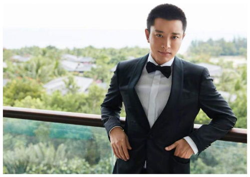 贾乃亮现在有女朋友吗(贾乃亮找到女朋友是哪一年)