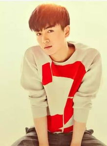 陈晓前女友有哪些(陈晓的前女友有哪些)