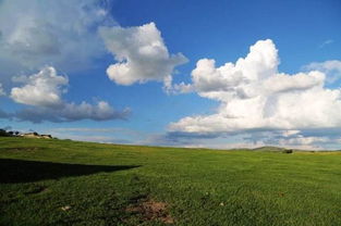 风轻云淡表达什么感情(云淡风轻在爱情里是什么意思)