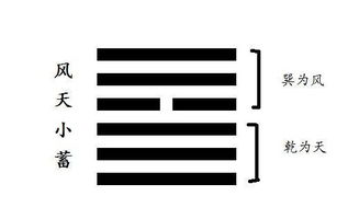 风天小畜是出轨了卦吗(风天小畜卦是离婚卦吗)