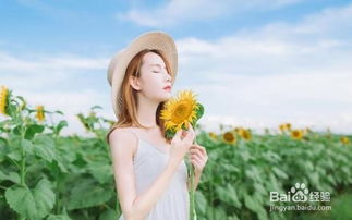 高冷的女生怎么追(如何追求高冷型的女生)