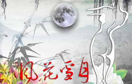 风花雪月的女人是一种什么样的人(风花雪月形容一个女人是什么意思)