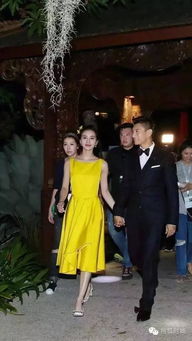 刘诗诗主动表白吴奇隆 刘诗诗吴奇隆官宣离的婚是真的吗