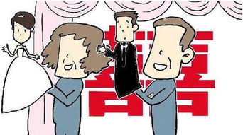 分配对象后,我抽中了大佬 和星际大佬包办婚姻后,我a了