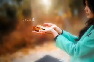 分手在那个秋天原版 分手在那个秋天浩瀚无损