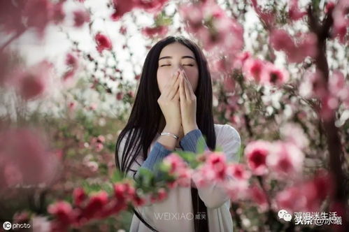 分手而又放不下的诗句 想舍弃又放不下的古诗词