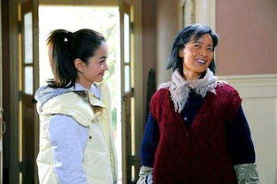 分手进行时全集在线观看 婆婆来了26集免费观看